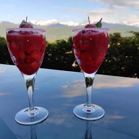 Bed & Breakfast Le Belvedere : Et Table D'hotes Montmélian