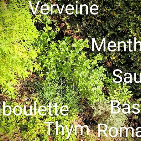 Le Belvedere : Et Table D'hotes 蒙特梅里安