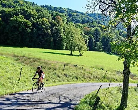 Le Belvédère : Et Table D'hôtes *
