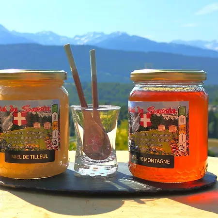 Frühstückspension Le Belvedere : Et Table D'hotes Montmélian